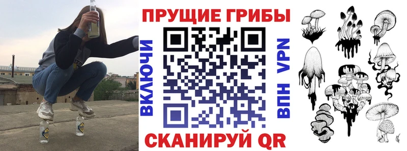 Псилоцибиновые грибы Psilocybine cubensis  Красноперекопск 