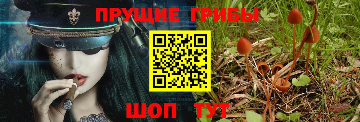 Галлюциногенные грибы мухоморы Красноперекопск