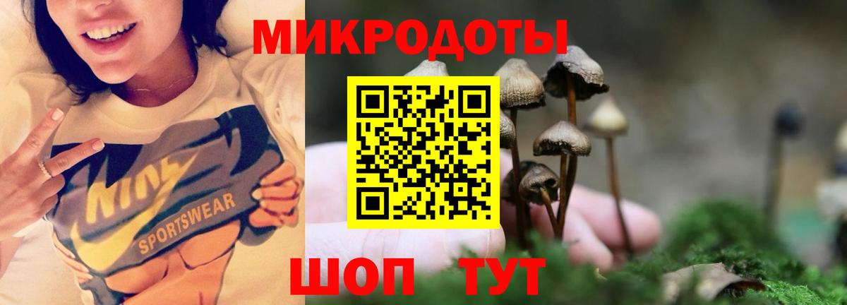 дарнет шоп  Галлюциногенные грибы мухоморы  Красноперекопск  Вход с VPN  Псилоцибиновые грибы Magic Shrooms 